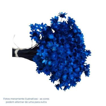Imagem de Flor Sempre Viva Azul Divina Zelia - Castro E Castro