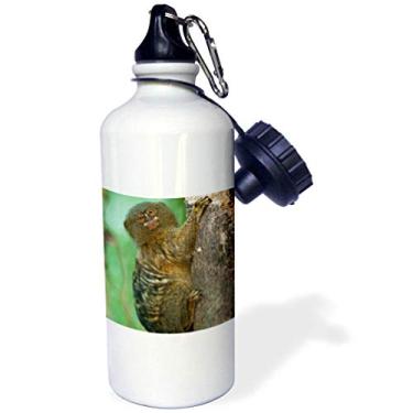 Imagem de 3dRose Garrafa de água esportiva Pygmy Marmoset, Napo River, Yasuni, Amazon, Equador-SA07 POX2038-Pete Oxford, 600 ml, branca