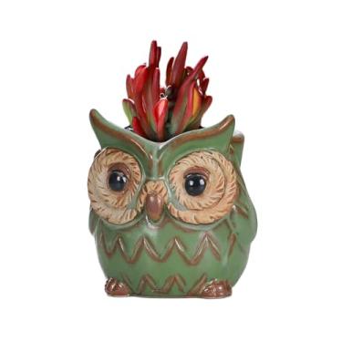 Imagem de DIYOMR Vaso de cerâmica pequeno, vaso de flores vintage de bronze de 11 cm, vaso de flores de cerâmica, suculentas, cacto (coruja)