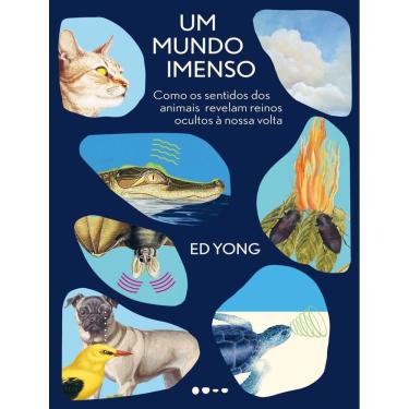 Imagem de Mundo Imenso, Um