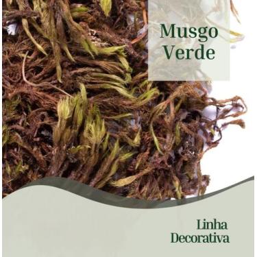 Imagem de Musgo verde para artesanato, vasos, plantas, orquideas arranjos 50 lit