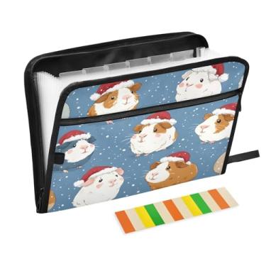 Imagem de CEBUGI Pasta expansível com 13 bolsos, organizador de arquivos sanfonado à prova d'água com etiquetas tamanho A4, organizador de documentos de papel para escola, material de escritório