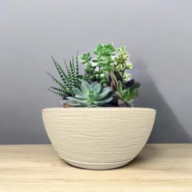 Imagem de Vaso Decoratico Planta Flor Bacia Texturizada 13x26 Jardim Varanda Polietileno (Bege)