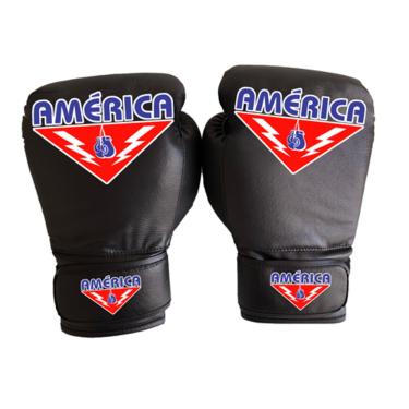 Imagem de Luva de Boxe de Couro Preto