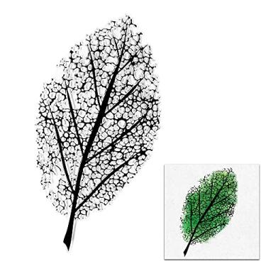 Imagem de Carimbos transparentes de folhas de árvore grandes para decoração de cartões, álbuns, selos de borracha transparente para plantas para cartões de fotos, álbuns e materiais de artesanato.