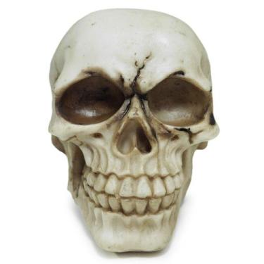 Imagem de Crânio Caveira Realista Pequeno Osso Preto Fosco Resina - M3 Decoração