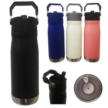 Imagem de Garrafa Isotérmica 650ml  Aço Inox com Canudo Tampa com Bico - Dy Mult