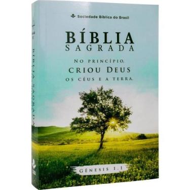 Imagem de Bíblia sagrada  arc  letra gigante  capa brochura ilustrada no princíp