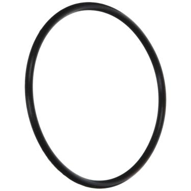 Imagem de Hayward D.E.CX1287 Anel de substituição para filtro de ciclo estendido e válvula de desvio Hayward Perflex