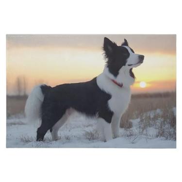 Imagem de CEBUGI Tapete de área 60 x 90 cm, macio, lavável, antiderrapante, com suporte de borracha, para sala de estar, quarto, decoração de casa