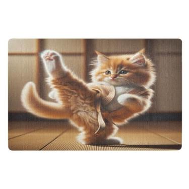 Imagem de Joisal Kitten Kung Fu Kicking Tapete de porta durável divertido tapete de boas-vindas, tapete fino 81 x 50 cm