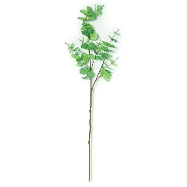 Imagem de Planta Permanente Eucalipto - Mart