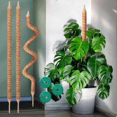 Imagem de Vanut Pacote com 3 postes de musgo de 122 cm para Monstera, suportes de plantas para plantas de interior, videiras pothos, filodendro, cacto espinha de peixe e plantas domésticas tropicais internas