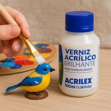 Imagem de Verniz Acrílico Brilhante Acrilex 100ml  Proteção e Brilho para Artesa