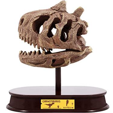 Imagem de ArtCreativity Kit de escavação de dinossauro - Carnotaurus