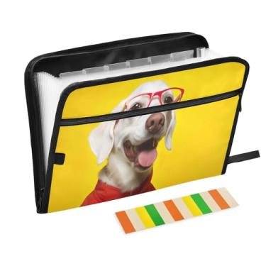 Imagem de Wassud Happy White Dog Organizador de arquivos sanfonado com 13 bolsos, pastas expansíveis com abas e adesivos, organizador de pastas de documentos de recibo de papel tamanho carta A4 para viagens de
