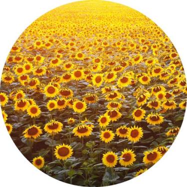 Imagem de Painel de Lona Redondo Girassol  Por do Sol - Fabrika De Festa, 190x19