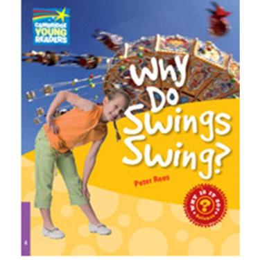 Imagem de Why Do Swings Swing? Level 4