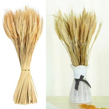 Imagem de Pacote de 120 hastes de trigo seco, polias de trigo para artesanato DIY, arranjos florais artificiais, decoração de casamento, expositores de mesa