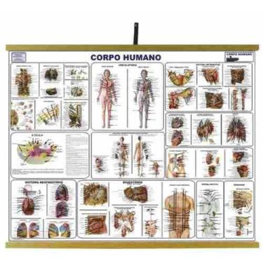 Imagem de Mapas Educativos - Corpo Humano 900x1200mm - Sonho de Criança