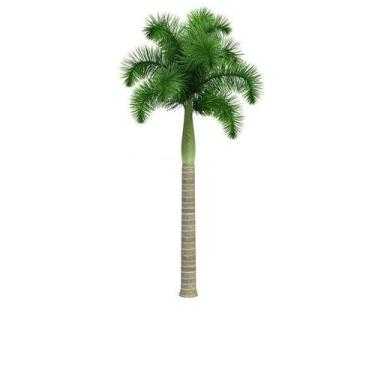 Imagem de Cadeado Sm Lt 30mm - Pado