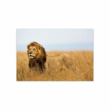 Imagem de Placa Decorativa MDF Foto Safari Leão 30x40cm - Quartinhos