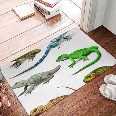 Imagem de Capacho para diferentes tipos de lagarto tapete de porta da frente antiderrapante tapete de boas-vindas lavável tapete de entrada interno externo tapete de proteção absorvente para cozinha, quarto