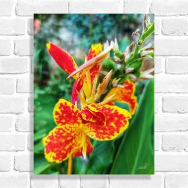 Imagem de Quadro Decorativo Flor Cana da Índia (Coleção Originais do Brasil) - A