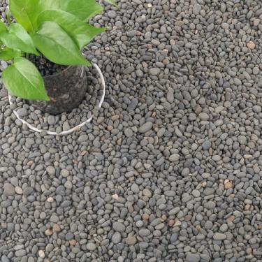 Imagem de CJGQ Cascalho de aquário de 8 kg para plantas, pedras decorativas de rio seixos para suculentas cactos paisagismo de jardim ao ar livre, pedras de drenagem pequenas naturais cascalho para vasos de