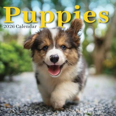 Imagem de TF Publishing Calendário de parede 2026 Puppies - grades grandes para compromissos e agendamento - Calendário de parede mensal vertical 2026 com papel brilhante premium para organização de casa e