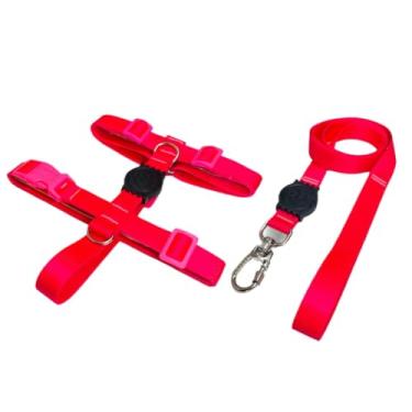 Imagem de Coleira Peitoral H Anti Puxão e Guia 1,10m para Cachorro Varias Estampas(Pink,M)
