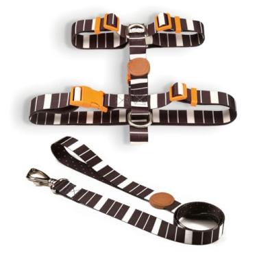 Imagem de Coleira Peitoral H e Guia para Cachorro Fita Premium 100% Poliéster Fecho Resistente(Eclipse,M)