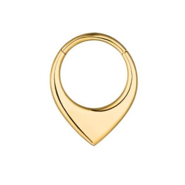 Imagem de Pierced Owl Anel clicker de segmento articulado grosso em forma de V de aço inoxidável 316L 16GA, 10mm Diameter, Metal, Sem Pedra Preciosa