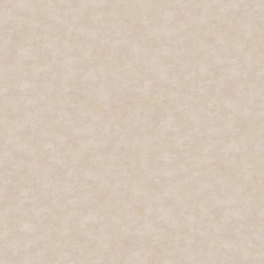 Imagem de Papel De Parede Nature Cimento Queimado Cinza Tonu8009