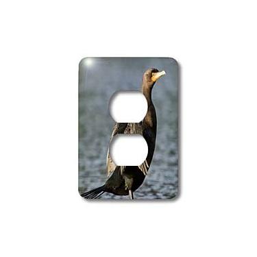 Imagem de 3dRose LLC lsp_84170_6 A Double Crested Cormorant Bird Drying Its Wings Na02 Rbr0003 Rick A Brown Capa de tomada com 2 plugues