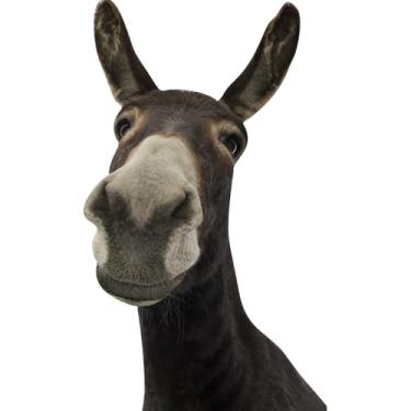 Imagem de Adesivos de parede engraçados de burro descascar e colar adesivos de janela de burro fofos adesivos de parede de burro de vinil removíveis decoração de casa de fazenda presentes engraçados estranhos