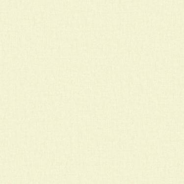 Imagem de Papel de parede Texture III Liso bege texturizado TX-3038 Edantex