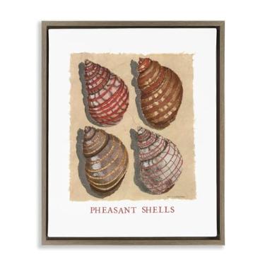 Imagem de Stupell Industries Arte de parede em tela flutuante marrom com conchas de faisão náutica por Nancy Overton, 53 x 43 cm