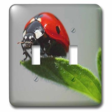 Imagem de 3dRose Interruptor de botão duplo Ladybug Up Lsp_62380_2