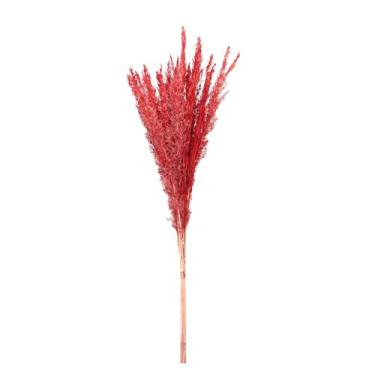 Imagem de Capim Champagne Vermelho Desidratado - Tem Flores