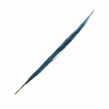 Imagem de Capim Dos Pampas Azul Claro - Pense Flores