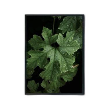 Imagem de Quadro Fotografia Folhas 33X24Cm - Com Vidro Moldura Preta