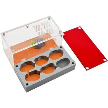 Imagem de Fazenda de formigas 3D Gesso Ninho de formiga Caixa de formicário com área de alimentação Acryl Formiga Rainha Castelo de criação Casa de formiga ecológica Vila Hidratante Piscina de água Of