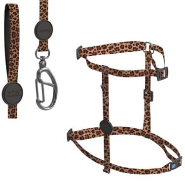 Imagem de Kit Coleira H Com Guia Para Gatos Com Ajuste Confortável – Estampas Variadas