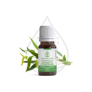 Imagem de Óleo Essencial de Eucalipto Staigeriana 10ml - Combate Gripes e Resfri