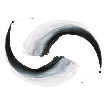 Imagem de Anlising 2 peças de véu de seda para dança, véu colorido de dança do ventre, bolas de arremesso de seda Poi, bola de dança do ventre de seda, véu de seda com bola Poi, adequado para apresentações e