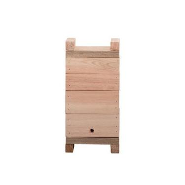 Imagem de Caixa Abelha Completa Ninho + Melgueira Jatai Beeth - BEETHOVEN