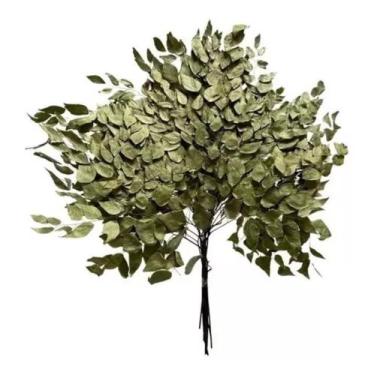 Imagem de Folha De Avenca Desidratado Arranjo Decoração Painel Vertica - FLORA F