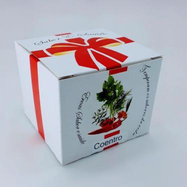 Imagem de kit plantio sementes de coentro, sabor e saúde - Horta e Jardim