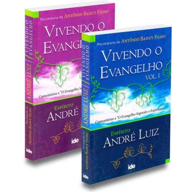 Imagem de Kit Vivendo o Evangelho - Vol. 1 e Vol. 2 - Livros Novos e Físicos - I